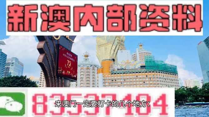 新澳門最精準正最精準龍門——探索新時代的魅力與機遇，澳門新時代，魅力與機遇的探索之旅