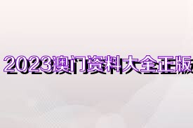 澳門正版免費全年資料大全旅游團——探索澳門魅力的絕佳選擇，澳門正版全年旅游資料大全，探索澳門魅力的旅游團