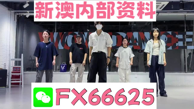 新澳天天開獎資料，新澳天天開獎資料詳解
