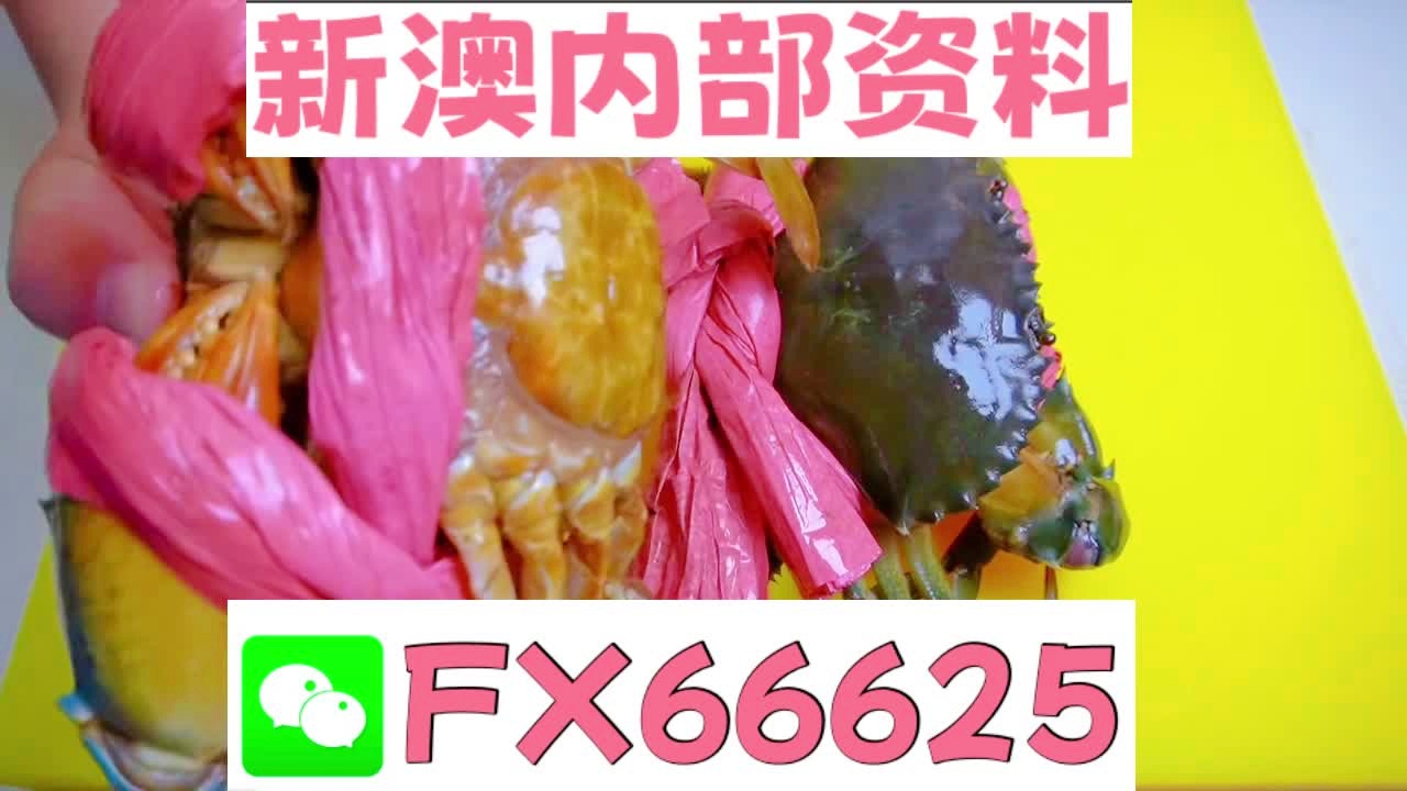 揭秘2025新澳精準(zhǔn)資料大全，深度解析與概述，揭秘2025新澳精準(zhǔn)資料大全，深度解析與全面概述