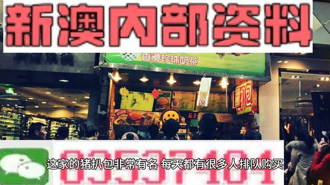 2025新澳精準(zhǔn)資料大全解釋，2025新澳精準(zhǔn)資料大全詳解
