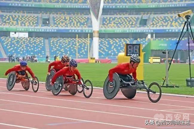 香港資料正版大全2025，專注于智能生態(tài)發(fā)展的前瞻研究，香港智能生態(tài)前瞻研究，2025正版資料大全專注智能生態(tài)發(fā)展展望