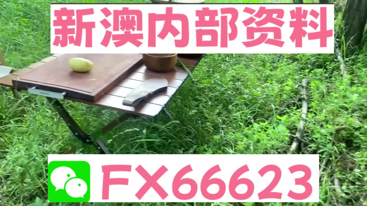 2025新澳精準(zhǔn)資料大全解釋，2025新澳精準(zhǔn)資料大全詳解