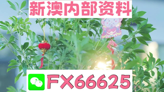 新澳好彩免費(fèi)資料查詢背后的故事，水果奶奶醉八仙，新澳好彩免費(fèi)資料查詢背后的故事，水果奶奶的八仙醉傳奇