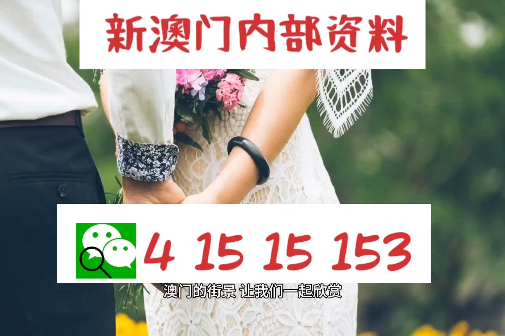 新澳今天最新資料解析，新澳今日最新資料深度解析