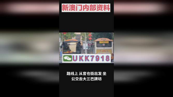 2025年澳門特馬今晚號碼——熱門話題下的理性探討，澳門特馬號碼預測，理性探討下的熱門話題