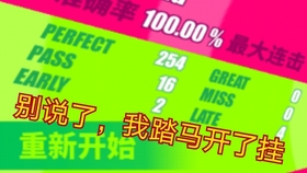 澳門平特一肖100%的玩法介紹，澳門平特一肖玩法介紹，100%攻略揭秘