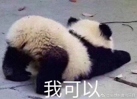 澳門四不像今晚的圖，澳門四不像今晚圖案揭秘