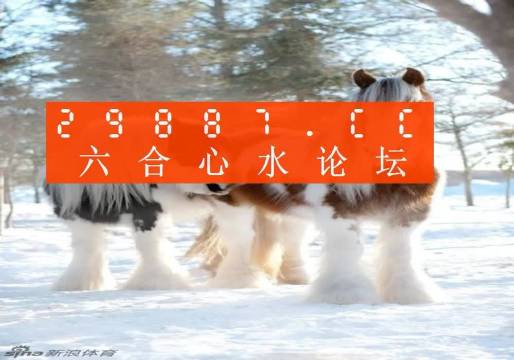 今晚必中一肖一碼四不像，揭秘彩票的神秘面紗，揭秘彩票神秘面紗，今晚必中一肖一碼四不像