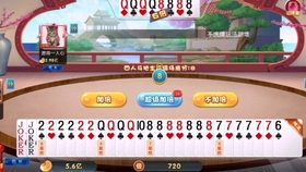 新澳門資料大全正版資料與奧利奧斗地主，一網(wǎng)打盡，澳門正版資料與奧利奧斗地主，一網(wǎng)打盡攻略