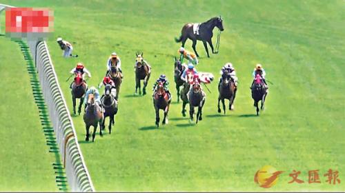 香港資料大全正版資料2025年免費四柱，馬報熱門資訊概覽，香港資料正版資訊概覽，四柱預(yù)測與馬報熱門資訊免費解讀