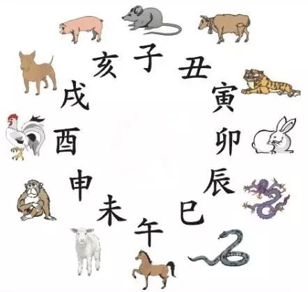 澳門(mén)天天彩期期精準(zhǔn)十二生肖，揭秘彩票背后的秘密，揭秘彩票背后的秘密，澳門(mén)天天彩期期精準(zhǔn)的十二生肖預(yù)測(cè)
