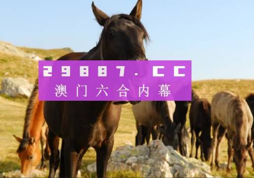 澳門管家婆一肖一碼一中，澳門管家婆一肖一碼精準預測
