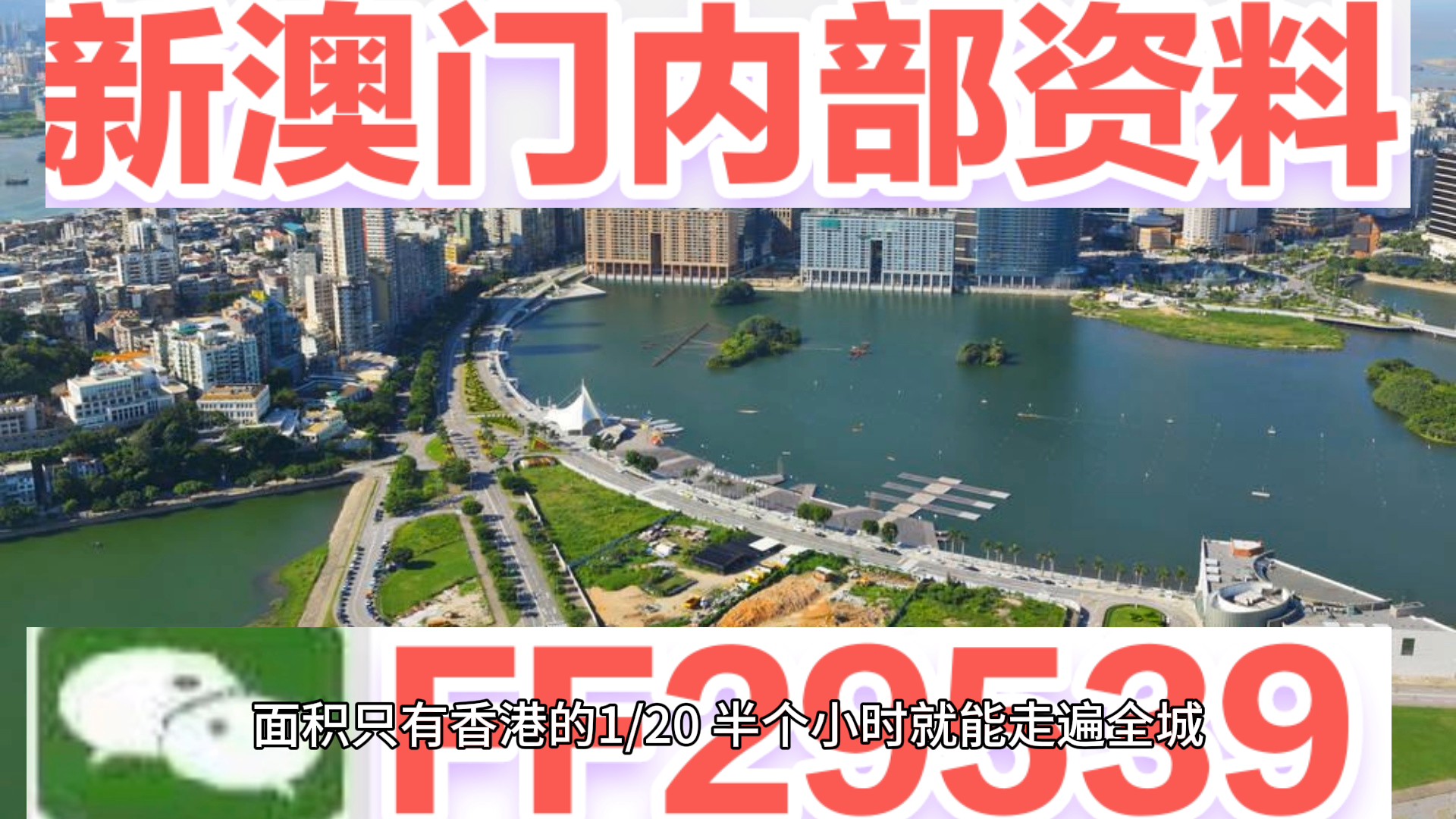 新澳門(mén)今晚開(kāi)獎(jiǎng)結(jié)果開(kāi)獎(jiǎng)記錄查詢，澳門(mén)今晚開(kāi)獎(jiǎng)結(jié)果及開(kāi)獎(jiǎng)記錄查詢