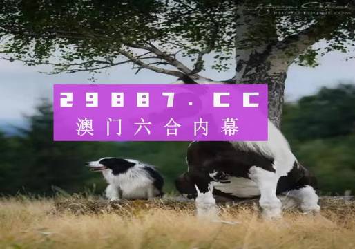 探索未來之門，2025今晚澳門跑狗圖揭秘，探索未來之門，揭秘澳門跑狗圖預(yù)測未來趨勢