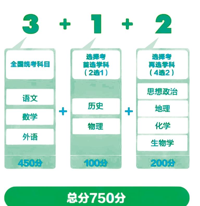 2025新澳彩最精準(zhǔn)資料，2025新澳彩最精準(zhǔn)資料大全