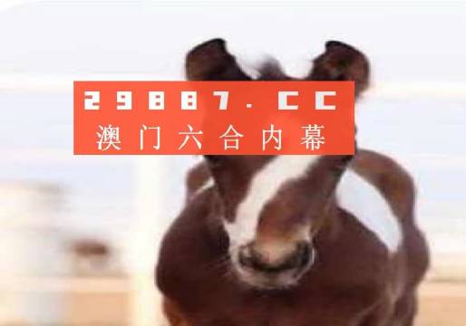 澳門一肖一碼100精準(zhǔn)澳門，澳門精準(zhǔn)一肖一碼預(yù)測