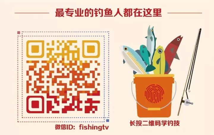 天下彩圖文資訊，探索更多精彩世界，探索更多精彩世界，天下彩圖文資訊薈萃