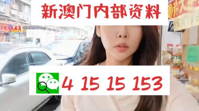 2004新澳門天天開好彩，揭秘澳門彩票，每日開獎(jiǎng)背后的秘密
