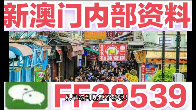 今晚澳門特馬開的什么號碼，澳門特馬今晚開獎號碼揭曉