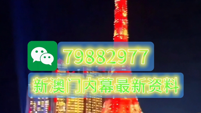 2025年今晚澳門特馬，澳門特馬預(yù)測與未來趨勢分析