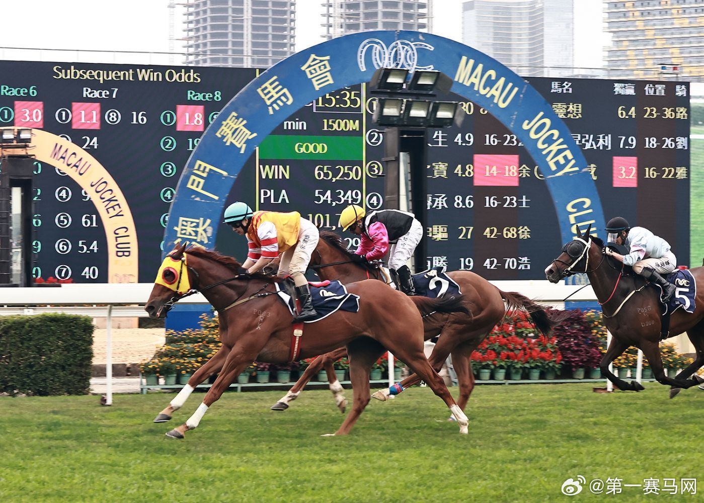 香港內(nèi)部馬料免費(fèi)論壇，香港內(nèi)部馬料論壇揭秘